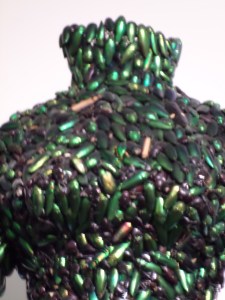 SAMSUNG CAMERA PICTURES